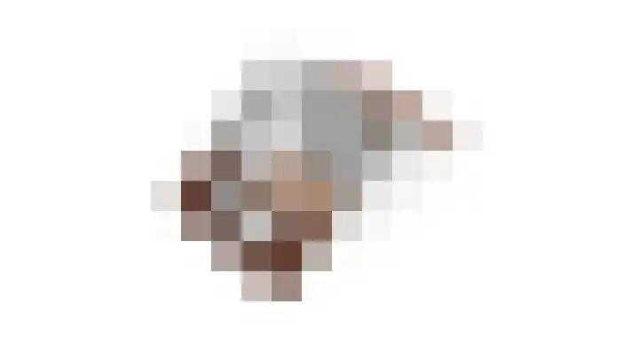 Hof van Voorvliet 24 Linschoten thumbnail 45