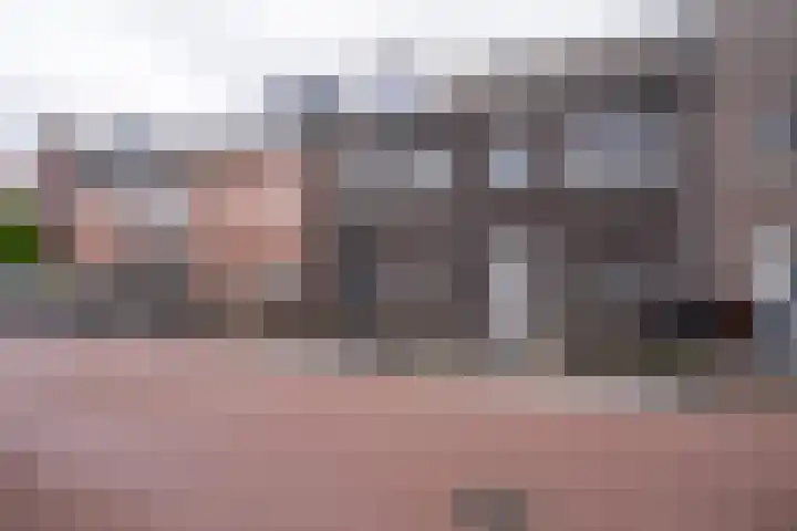 Hof van Voorvliet 24 Linschoten thumbnail 52