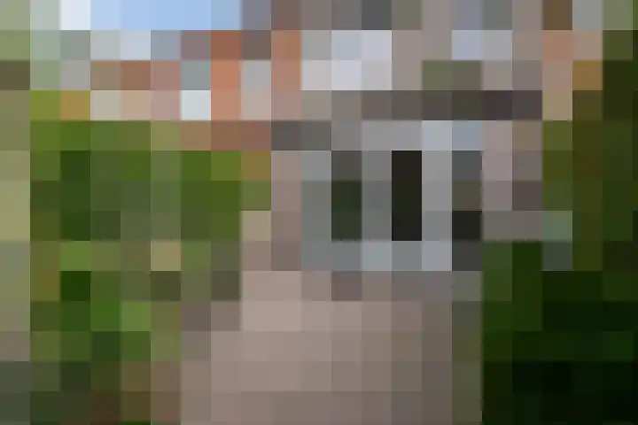 Hof van Voorvliet 53 Linschoten thumbnail 22