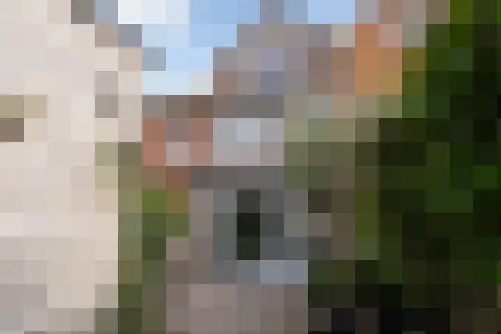 Hof van Voorvliet 53 Linschoten thumbnail 24