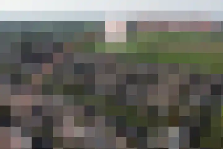 Hof van Voorvliet 53 Linschoten thumbnail 5