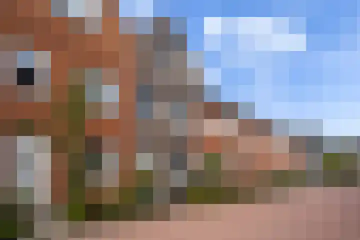 Hof van Voorvliet 53 Linschoten thumbnail 60