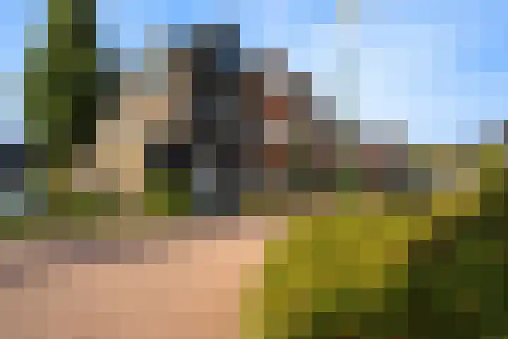 Hof van Voorvliet 53 Linschoten thumbnail 61