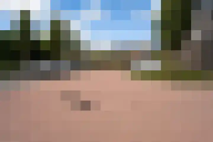 Hof van Voorvliet 53 Linschoten thumbnail 63