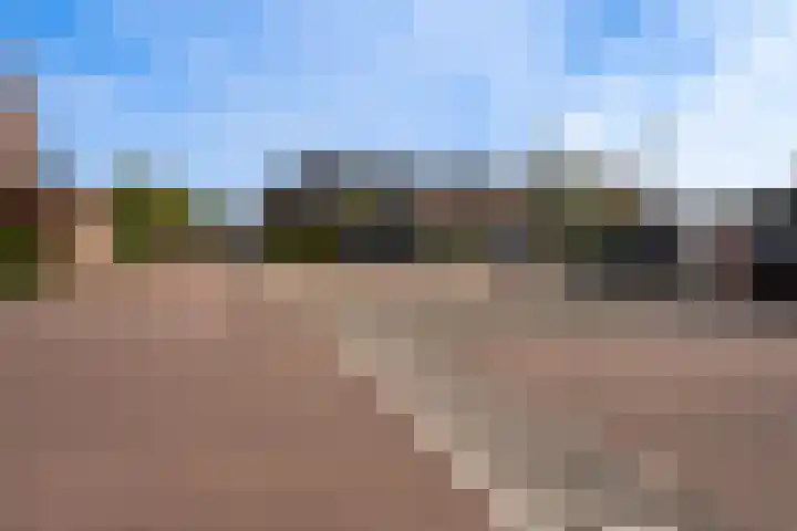 Hof van Voorvliet 53 Linschoten thumbnail 64