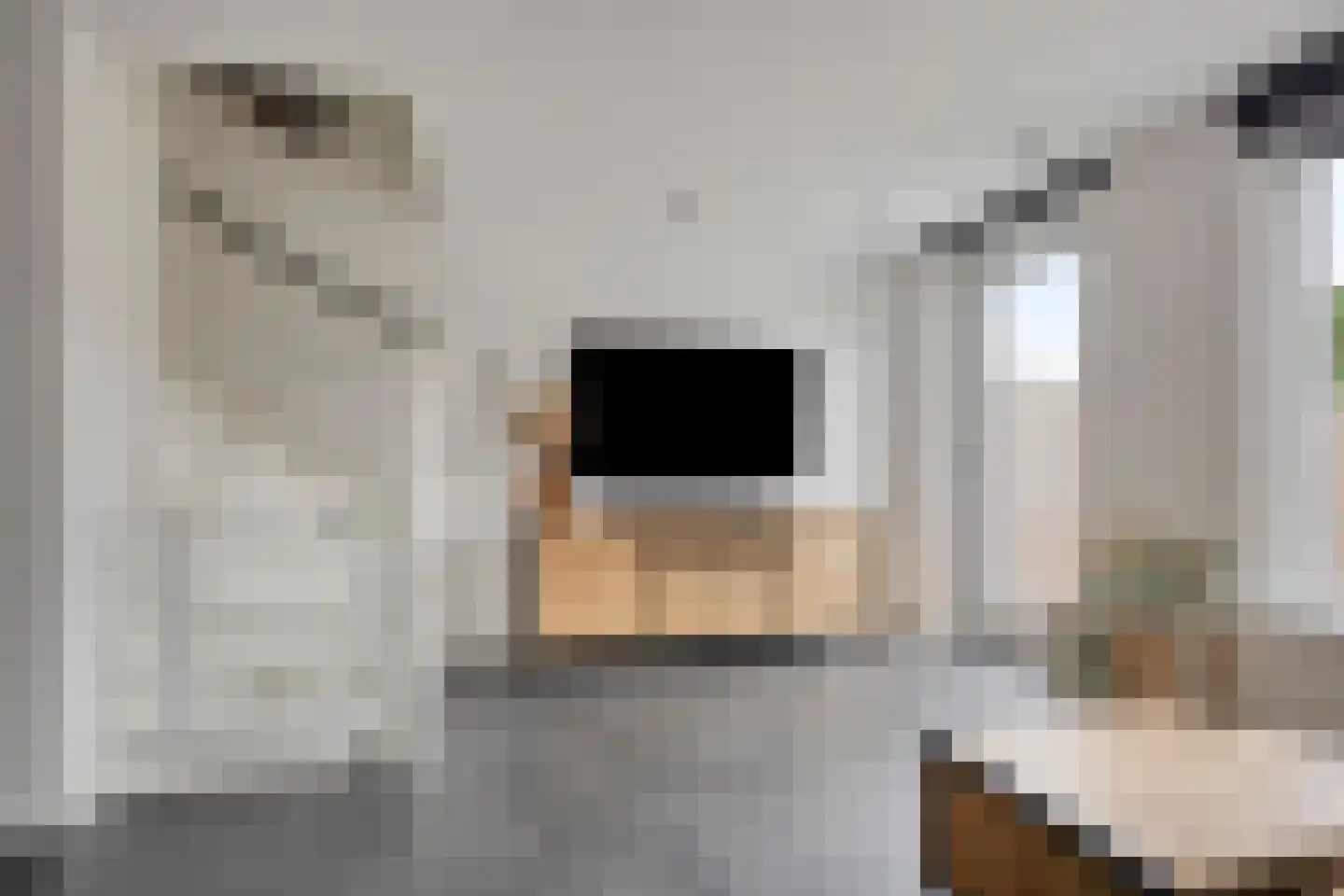 Hof van Voorvliet 63 Linschoten thumbnail 17