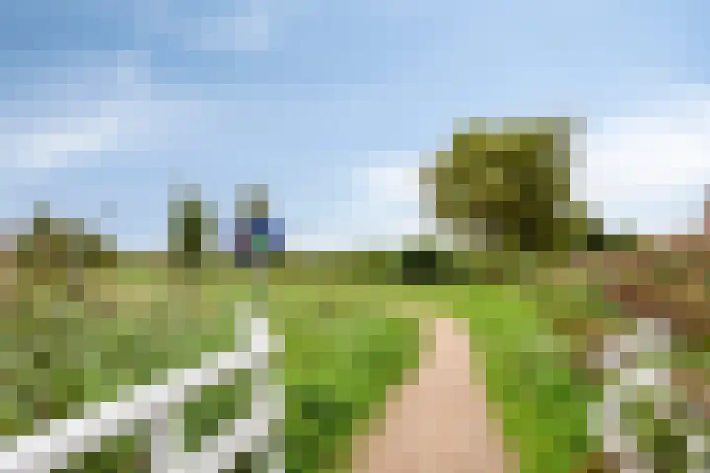 Hof van Voorvliet 63 Linschoten thumbnail 44