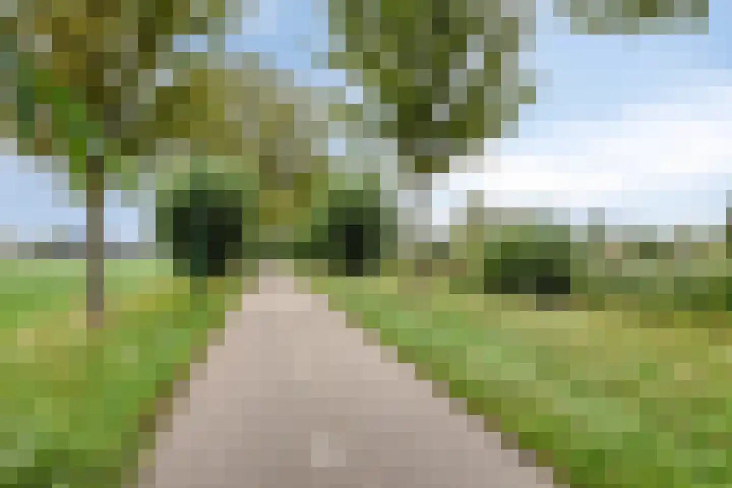 Hof van Voorvliet 63 Linschoten thumbnail 45