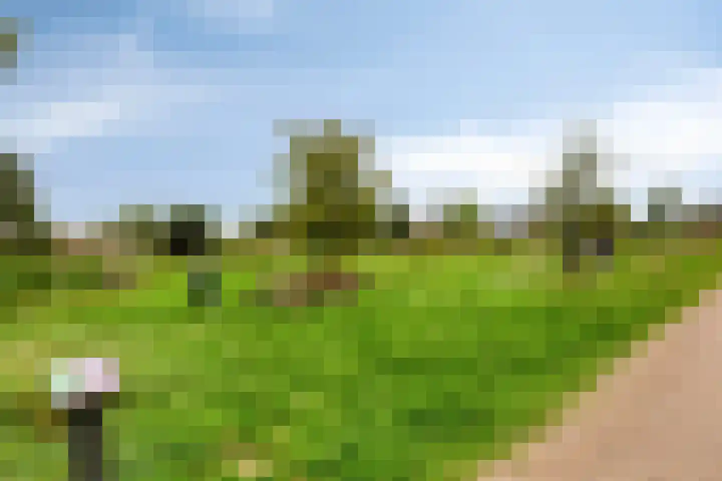 Hof van Voorvliet 63 Linschoten thumbnail 47