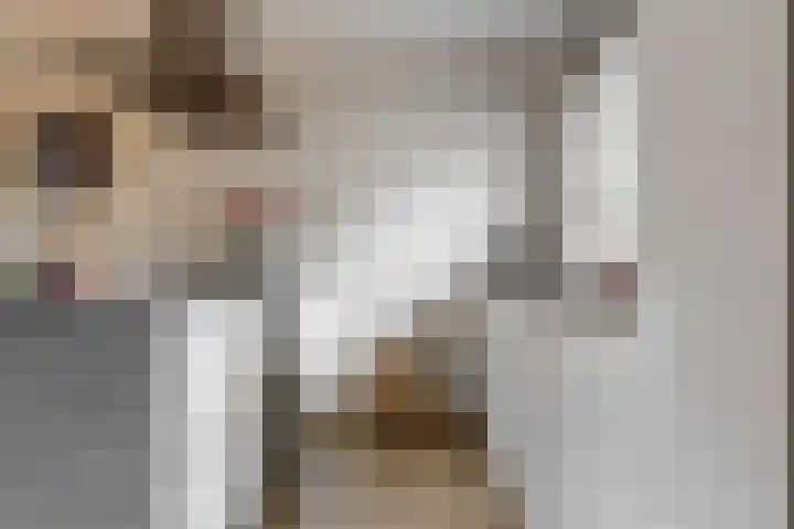 Hof van Voorvliet 69 Linschoten thumbnail 10