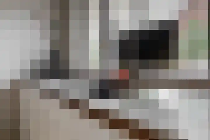 Hof van Voorvliet 69 Linschoten thumbnail 11