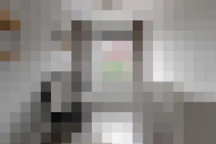 Hof van Voorvliet 69 Linschoten thumbnail 15
