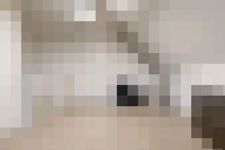 Hof van Voorvliet 69 Linschoten thumbnail 19
