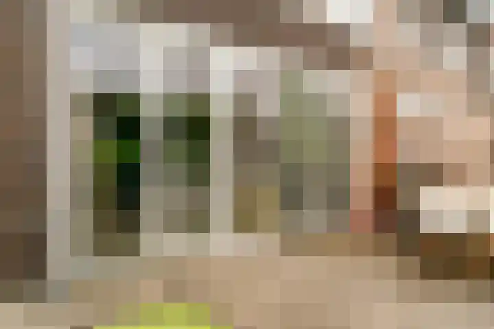 Hof van Voorvliet 69 Linschoten thumbnail 22