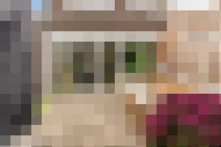 Hof van Voorvliet 69 Linschoten thumbnail 23