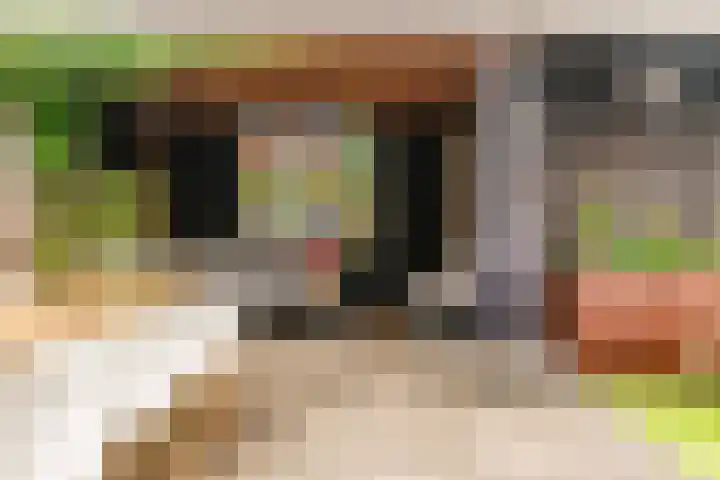 Hof van Voorvliet 69 Linschoten thumbnail 24