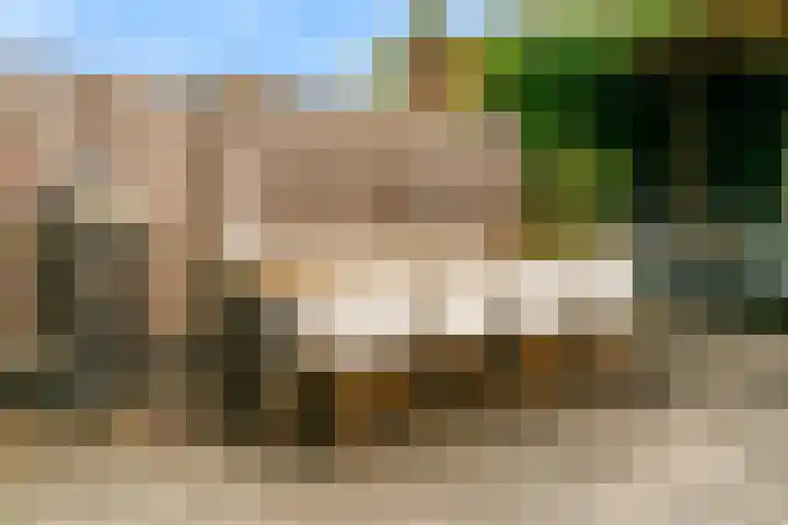 Hof van Voorvliet 69 Linschoten thumbnail 25