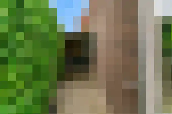 Hof van Voorvliet 69 Linschoten thumbnail 28