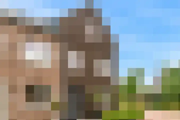 Hof van Voorvliet 69 Linschoten thumbnail 30