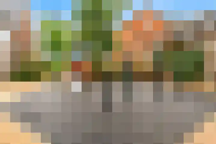 Hof van Voorvliet 69 Linschoten thumbnail 31