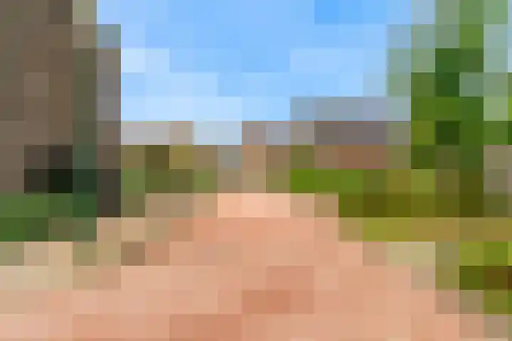 Hof van Voorvliet 69 Linschoten thumbnail 32