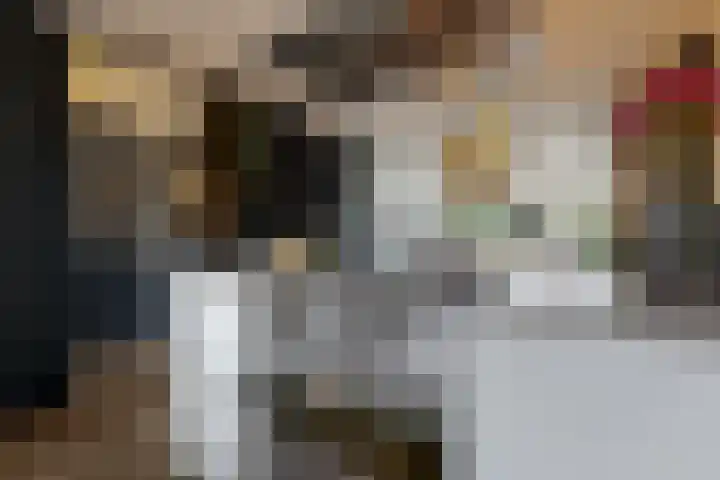 Hof van Voorvliet 69 Linschoten thumbnail 4