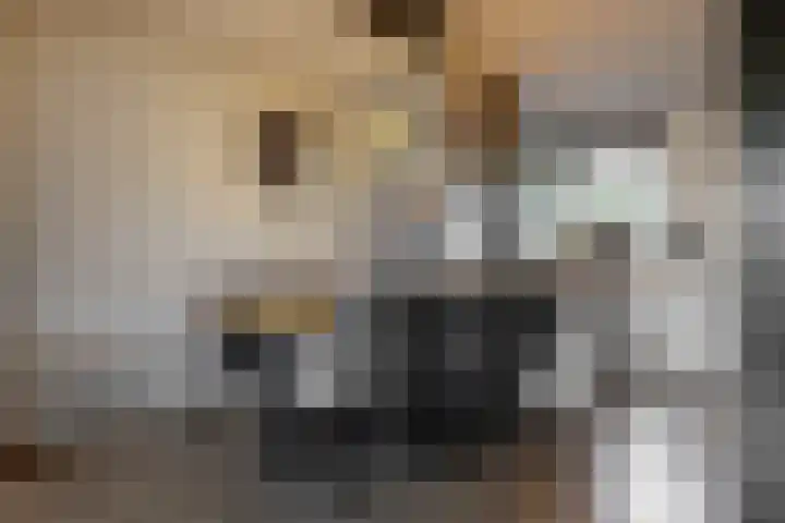 Hof van Voorvliet 69 Linschoten thumbnail 8