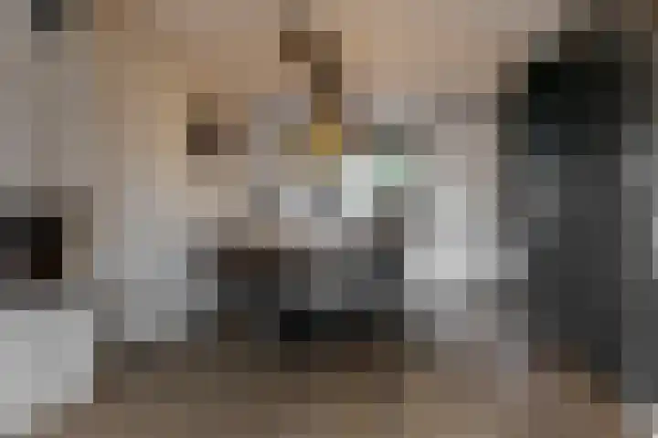 Hof van Voorvliet 69 Linschoten thumbnail 9