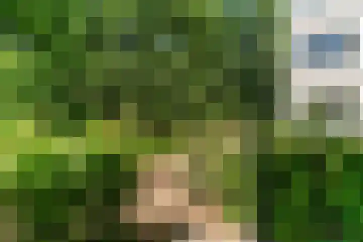 Hof van Vronestein 1 Nieuwegein thumbnail 17