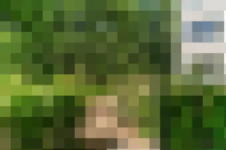 Hof van Vronestein 113 Nieuwegein thumbnail 11
