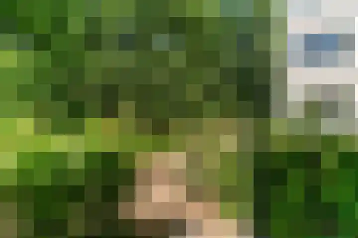Hof van Vronestein 115 Nieuwegein thumbnail 30