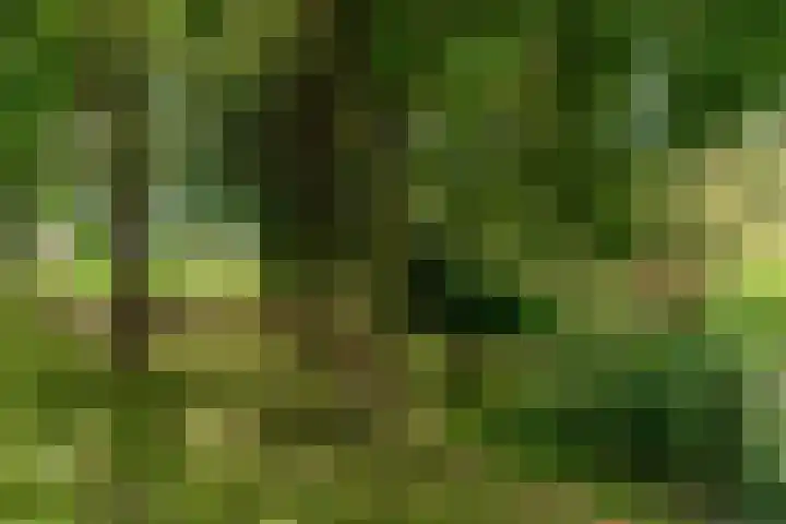Hof van Vronestein 115 Nieuwegein thumbnail 36