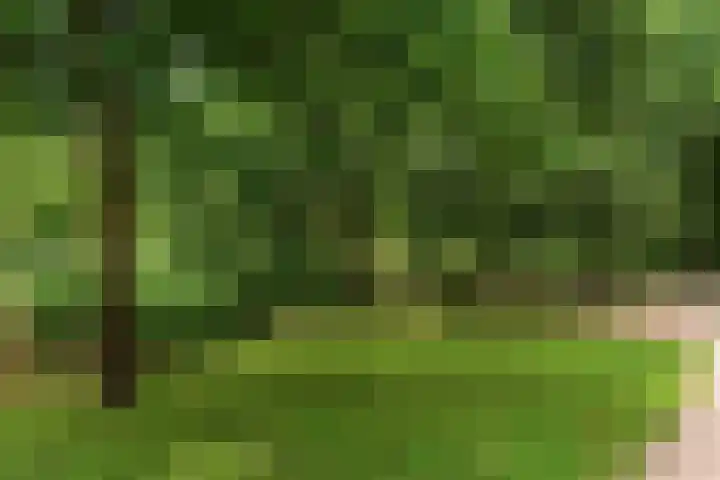 Hof van Vronestein 115 Nieuwegein thumbnail 37