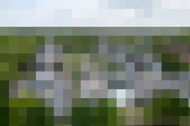 Hof van Vronestein 12 Nieuwegein thumbnail 20