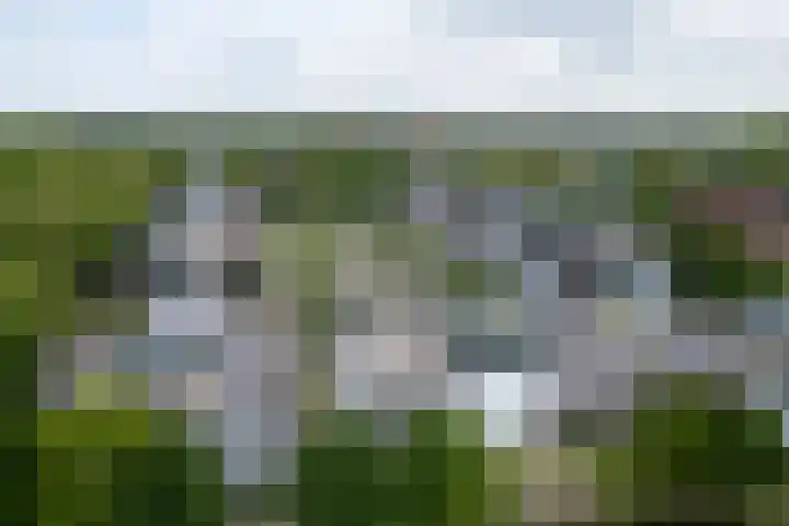 Hof van Vronestein 120 Nieuwegein thumbnail 33