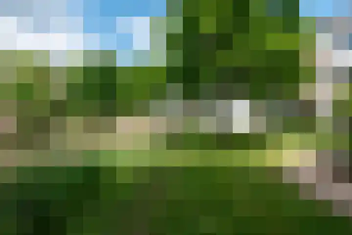 Hof van Vronestein 120 Nieuwegein thumbnail 34