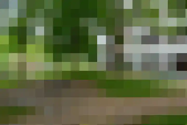 Hof van Vronestein 120 Nieuwegein thumbnail 35