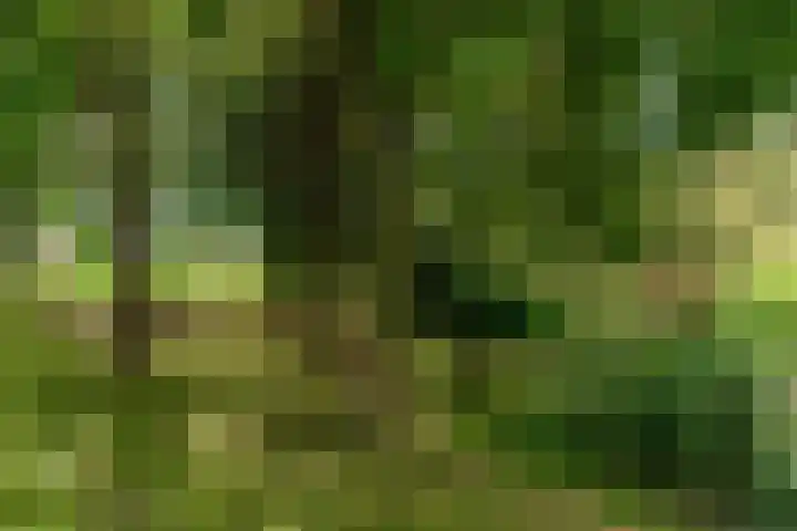 Hof van Vronestein 122 Nieuwegein thumbnail 20