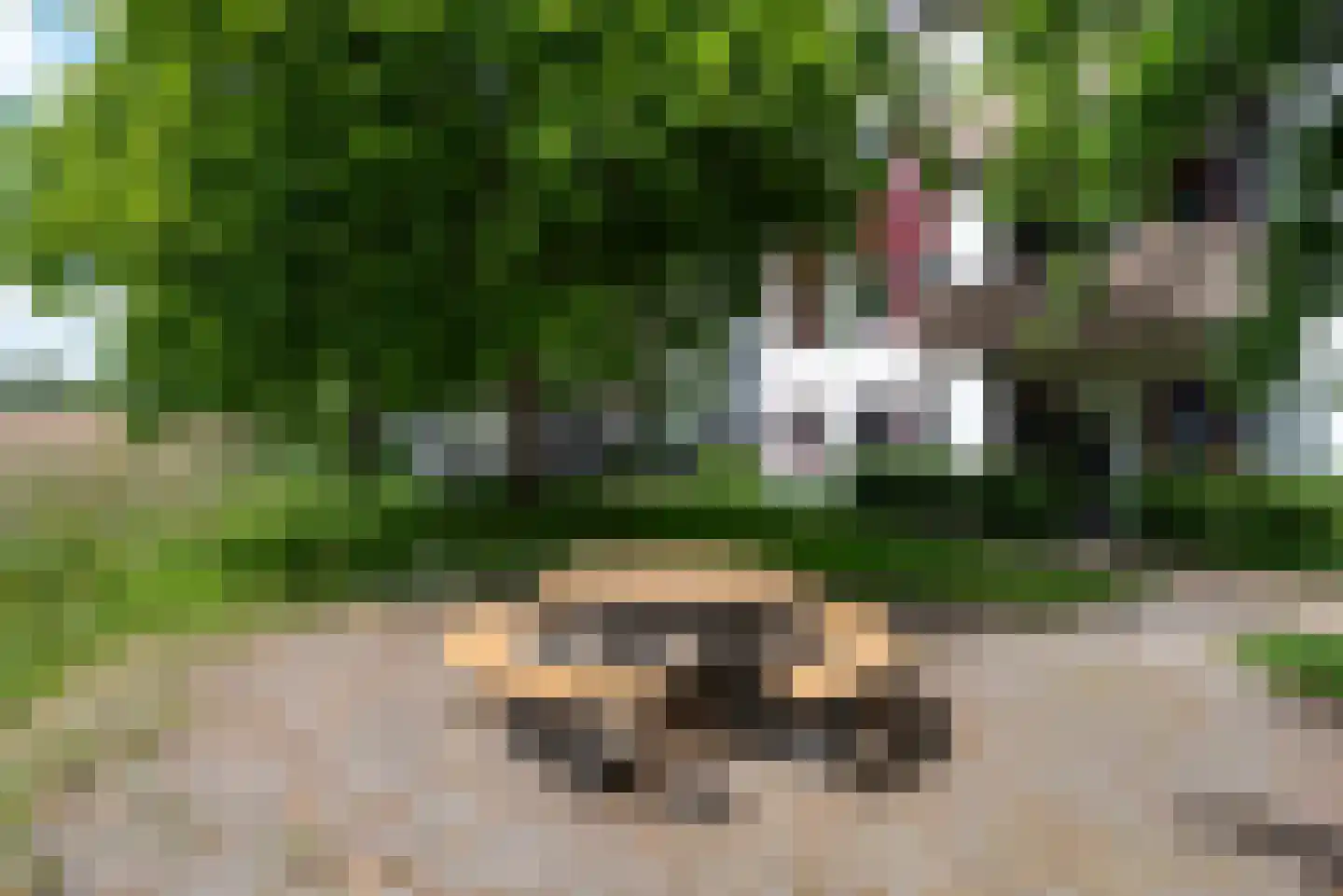 Hof van Vronestein 4 Nieuwegein thumbnail 29