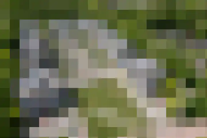 Hof van Vronestein 67 Nieuwegein thumbnail 23