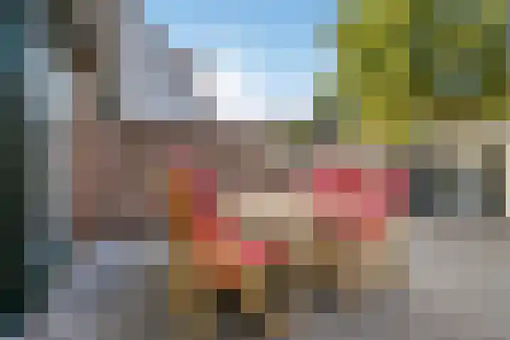 Hof van Waarder 2 Waarder thumbnail 24