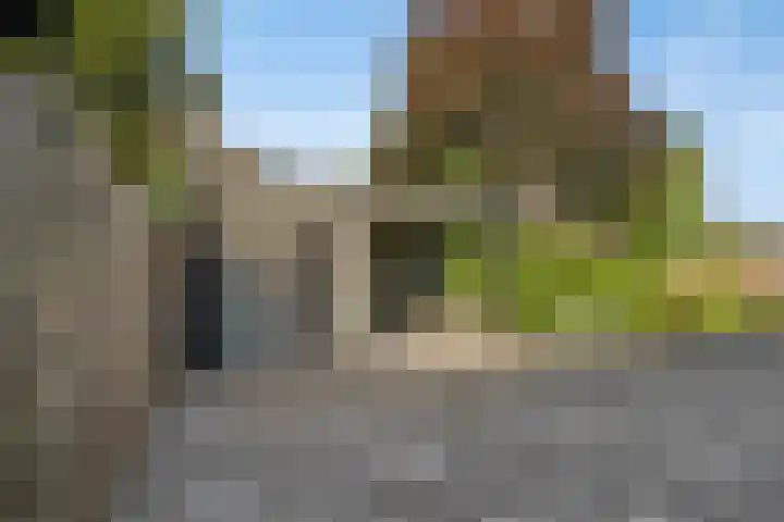 Hof van Waarder 2 Waarder thumbnail 25