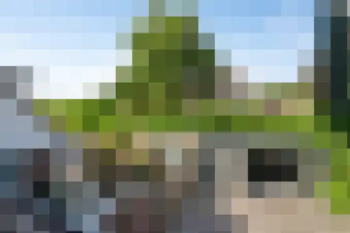 Hof van Waarder 2 Waarder thumbnail 35