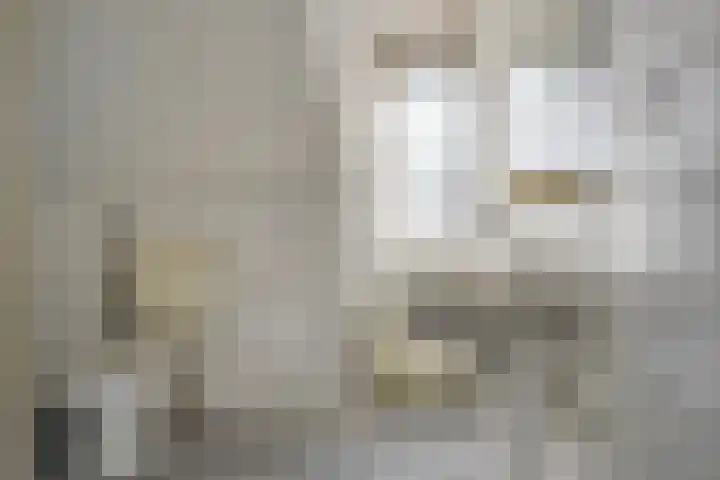 Hof van Waarder 2 Waarder thumbnail 36