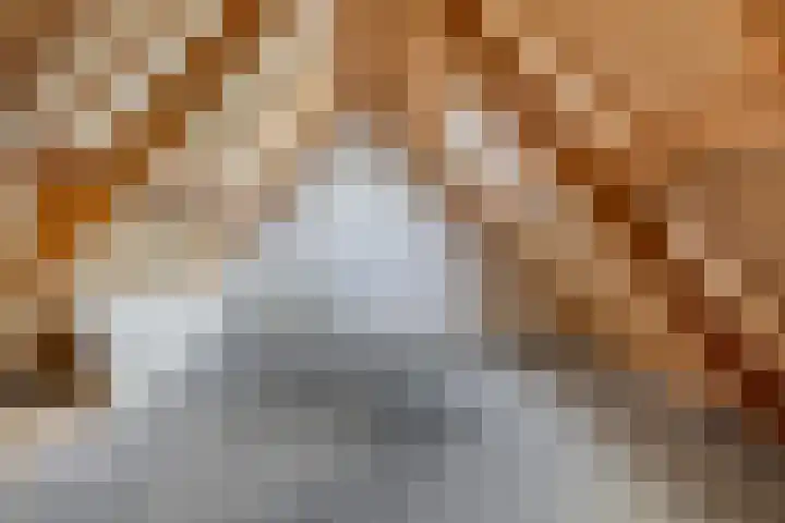 Hof van Waarder 2 Waarder thumbnail 43