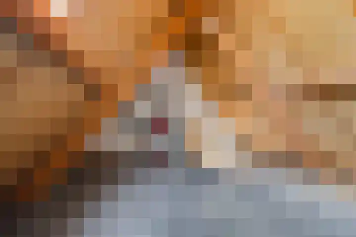 Hof van Waarder 2 Waarder thumbnail 44