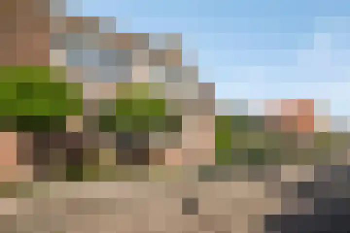 Hof van Waarder 2 Waarder thumbnail 46
