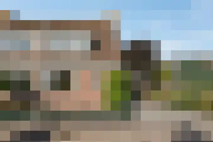 Hof van Waarder 2 Waarder thumbnail 47