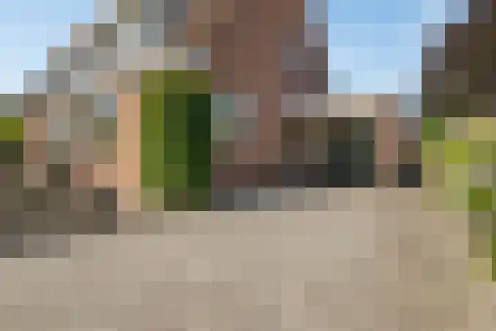 Hof van Waarder 2 Waarder thumbnail 48