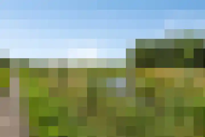 Hof van Waarder 2 Waarder thumbnail 51